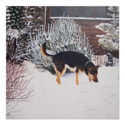 Poster Winter snow scene with cute black and tan dog (Devant)