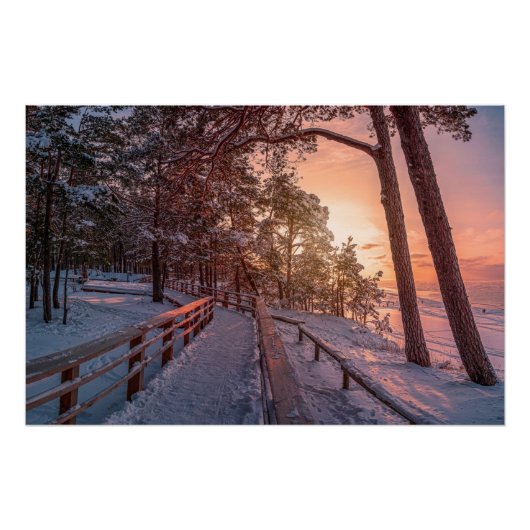 Poster Winter sunset in pine forest near sea (Devant)