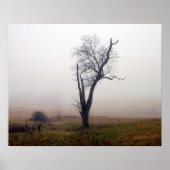 Poster Winter Tree in Foggy Meadow #2 (Devant)