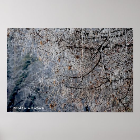 Poster Winter wonderland (Devant)