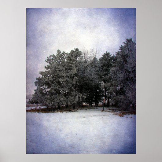 Poster Winter Wonderland (Devant)