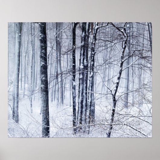 Poster Winter Wonderland (Devant)