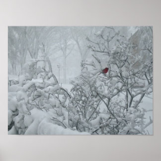 Poster Winter Wonderland