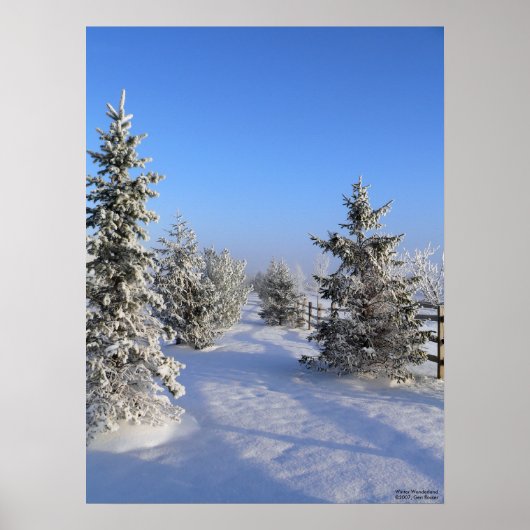 Poster Winter Wonderland (Devant)