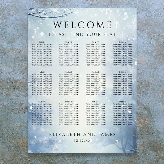Poster Winter Wonderland Forest Wedding Seating Chart