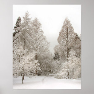 Poster Winter Wonderland Winter Vancouver Imprimer