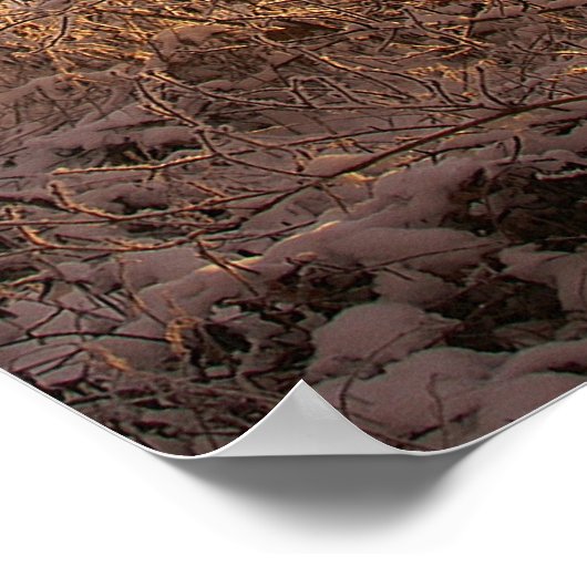 Poster Wintergate (Coin)