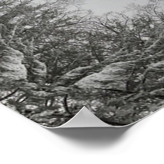 Poster Winter's Mandala (Coin)