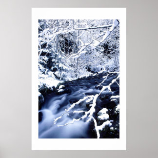 Poster Winterscape