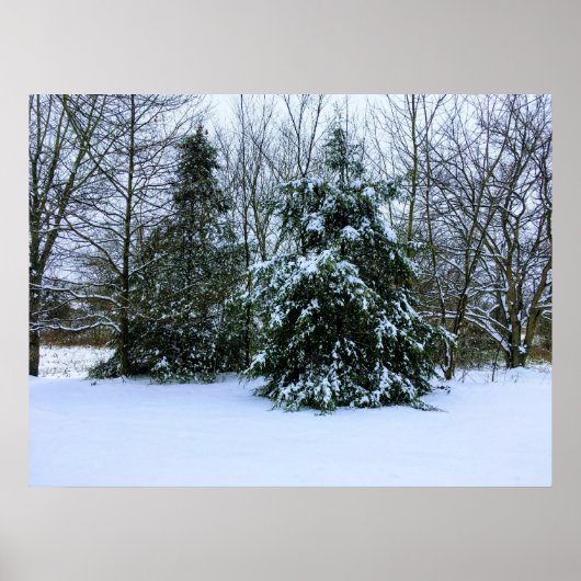 Poster wintersneeuw, vers (Voorkant)