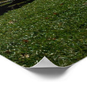 Poster Wintervert (Coin)