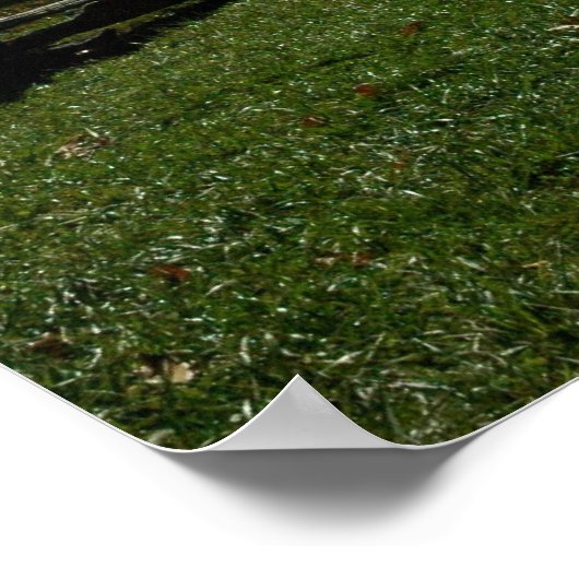 Poster Wintervert (Coin)