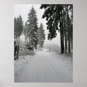 Poster winterwald
