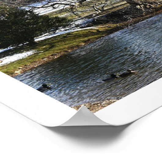 Poster winterwater (Hoek)