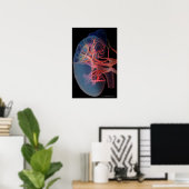 Poster Wireframe of the inside of a kidney (Bureau à domicile)