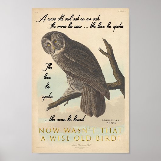 Poster Wise Old Owl (Devant)