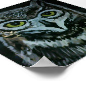 Poster Wise Owl à la nuit (Coin)
