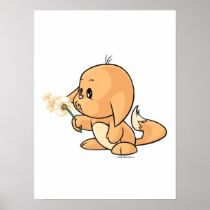 Poster Wishing orange Kacheek