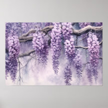Wisteria