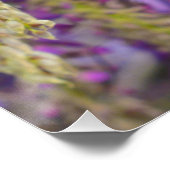 Poster Wisteria Violet Floral Blossom Tree Violet (Coin)