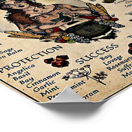 Poster Witchery Vintage (Coin)