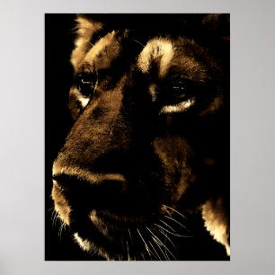 Poster Within the Shadows