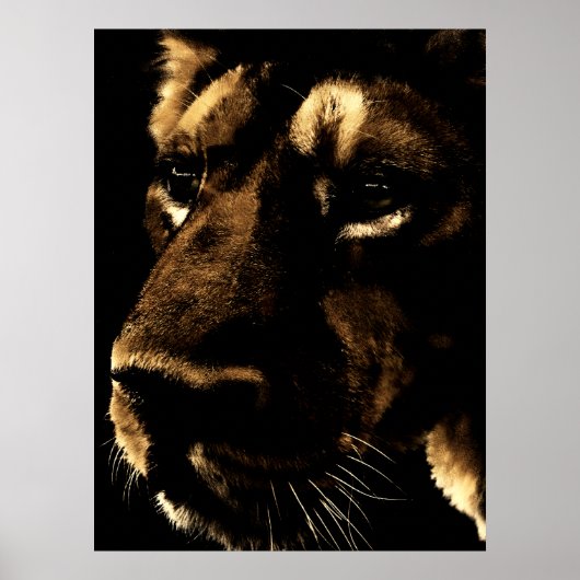 Poster Within the Shadows (Devant)