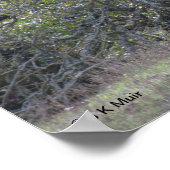 Poster - Witte alfaba (Hoek)