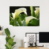 Poster, WITTE CALLA LILIES_ Horiz # 1 Poster (Thuiskantoor)