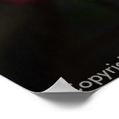 Poster witte vlinder (Hoek)