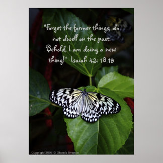 Poster witte vlinder