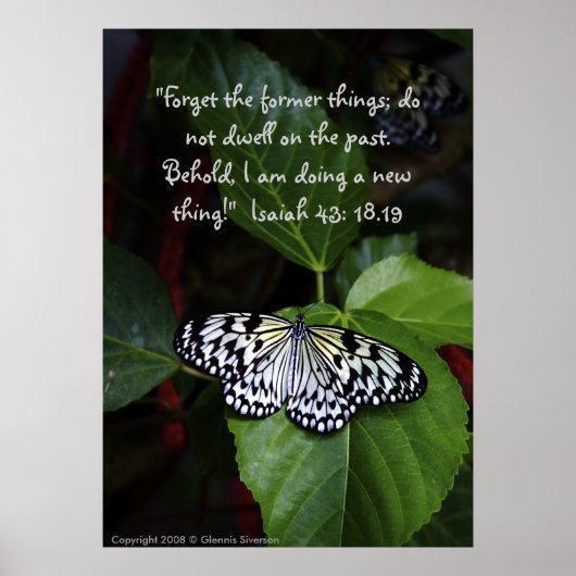 Poster witte vlinder (Voorkant)