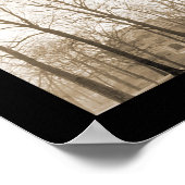 Poster Wittenberg College OH Photo 1910 (Coin)