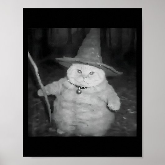 Poster Wizard Cat Weird Drôle Halloween Cat Meme (Devant)