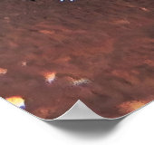 Poster Wobbegong Portrait (Coin)