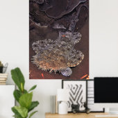 Poster Wobbegong Portrait (Bureau à domicile)