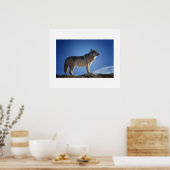 Poster Wolf (Cuisine)