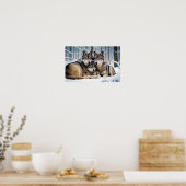 Poster Wolf Animal Nature Faune Affection Soin (Cuisine)