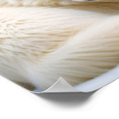 Poster Wolf Animal Nature Faune Affection Soin (Coin)