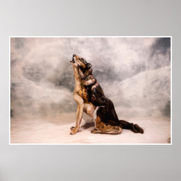 Poster Wolf Bodypainting Illusion