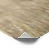 Poster Wolf (Canis Lupus) Courir Vers La Caméra (Coin)