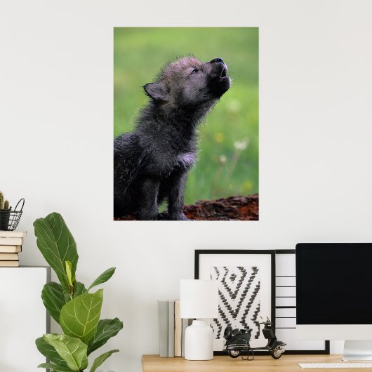 Poster Wolf Cub Howling (Bureau à domicile)