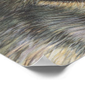 Poster Wolf Eyes (Coin)