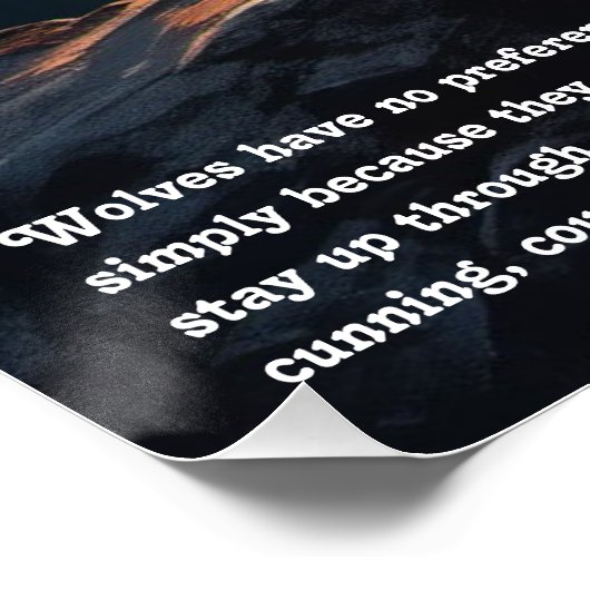 Poster Wolf Folklore (Coin)