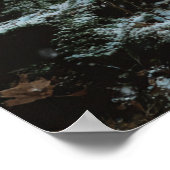 Poster Wolf in Winter (Coin)