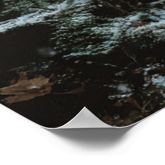 Poster Wolf in Winter (Coin)