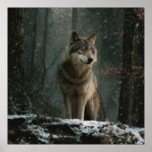 Poster Wolf in Winter (Devant)