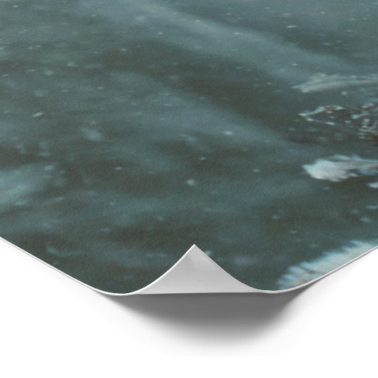 Poster Wolf in Winter (Coin)