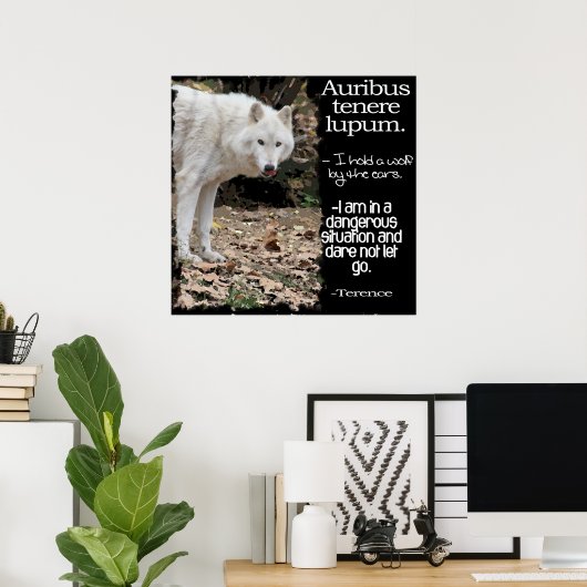 POSTER WOLF LATIN CITE TERRENCE (Bureau à domicile)