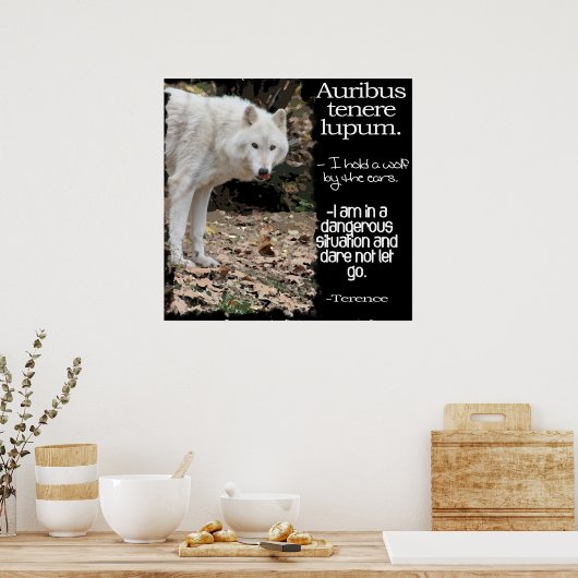 POSTER WOLF LATIN CITE TERRENCE (Cuisine)